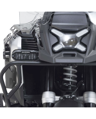 PROTECTOR DE FAROS ADICIONALES SW-MOTECH BMW NSW.07.976.10000/B | Luces adicionales de moto | %brands%